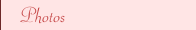 Photos